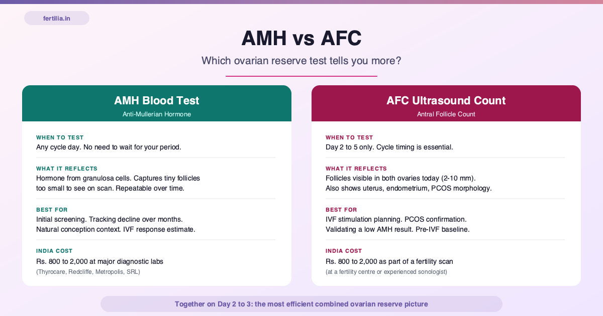 AMH vs AFC: Which Ovarian Reserve Test and What Each Costs