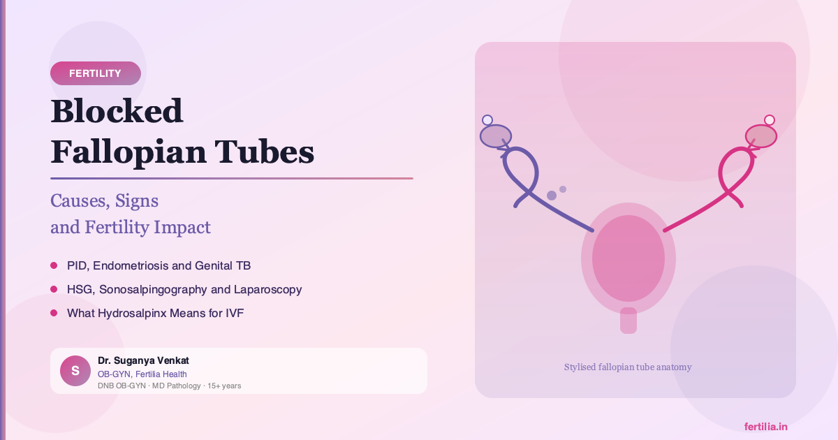 Blocked Fallopian Tubes: Causes, Signs & Fertility Impact