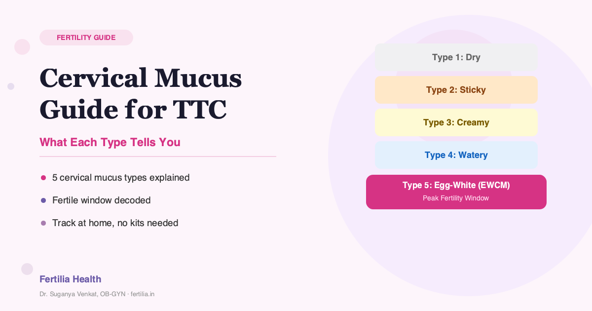 Cervical Mucus Guide for TTC: What Each Type Means