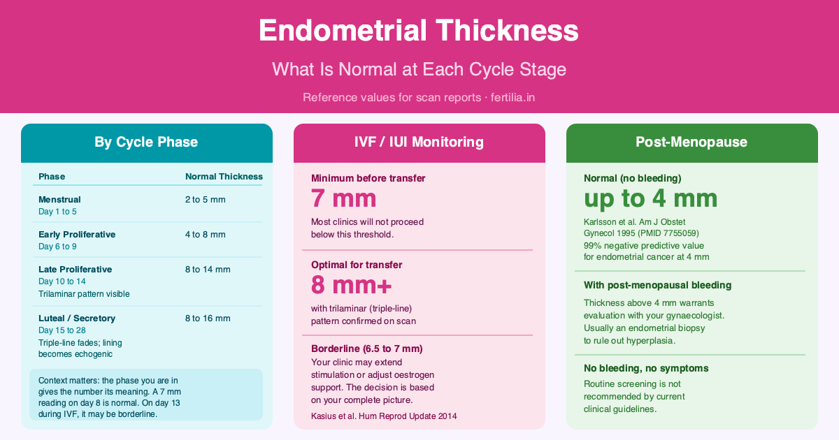 Endometrial Thickness: Trilaminar Pattern & Normal Ranges