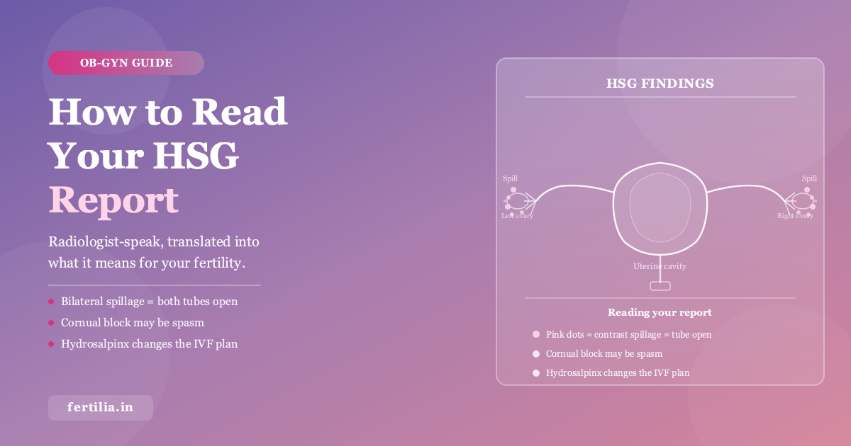 How to Read Your HSG Report: Normal vs Blocked Results