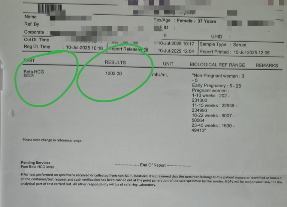 Beta hCG report showing a clearly positive result of 1302 mIU/mL, consistent with early pregnancy